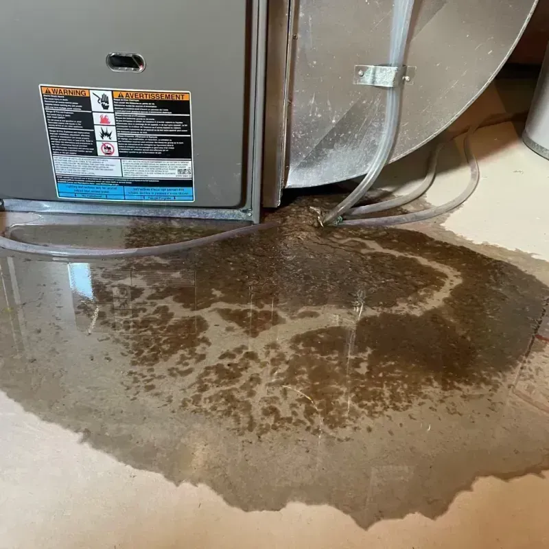 Appliance Leak Cleanup in Dove Valley, CO